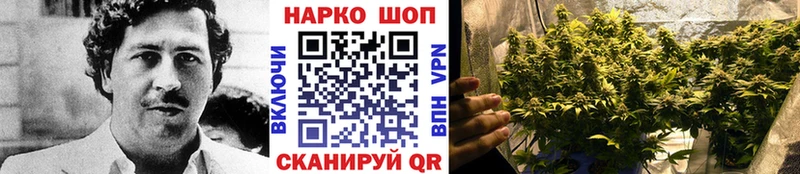 Наркошоп купить Кодеин  АМФЕТАМИН  Гашиш  Меф мяу мяу  КОКАИН  Канабис  Сенгилей
