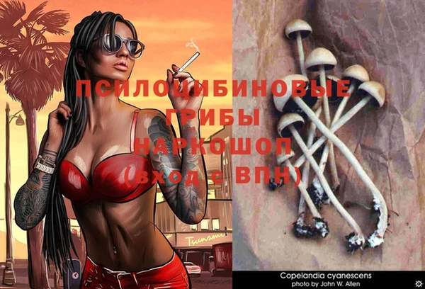 винт Верхний Тагил