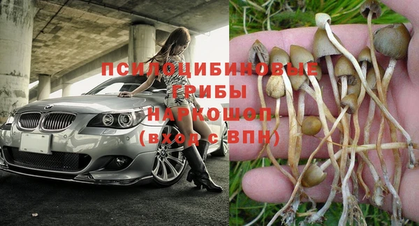 винт Верхний Тагил