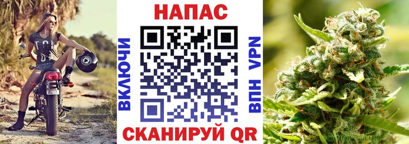 Шишки марихуана ГИДРОПОН  Купить закладки  Сенгилей 